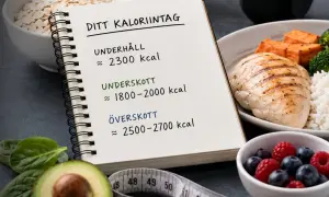 Anteckningar om ditt kaloriintag med uppskattningar för underhåll, underskott och överskott. Bredvid syns en tallrik med kyckling, ris och grönsaker.