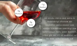 En hand håller ett glas rött vin. Texten informerar om att måttlig konsumtion av rödvin är bra för hjärtat och att kalorier hålls under kontroll.