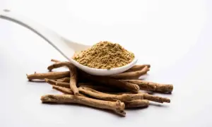 En sked med pulveriserat ashwagandha ligger ovanpå en hög med rötter. Vissa studerar ashwagandha för dess potentiella fördelar, men det är viktigt att vara medveten om möjliga ginseng biverkningar.