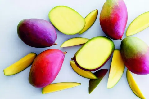 Flera färgglada mango frukt, hela och skurna i bitar, ligger utspridda på en ljus bakgrund.