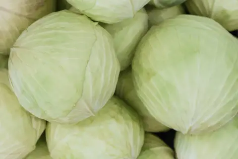 En hög med färsk vitkål, en nyttig grönsak som är perfekt för både råkost och tillagning.