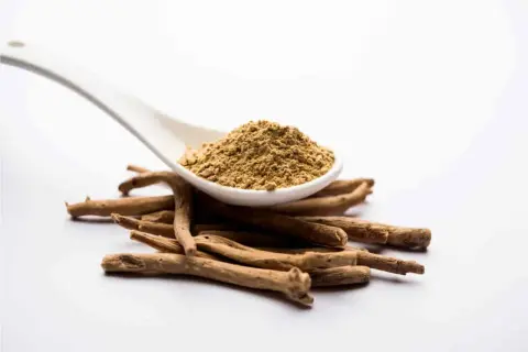 En sked med pulveriserat ashwagandha ligger ovanpå en hög med rötter. Vissa studerar ashwagandha för dess potentiella fördelar, men det är viktigt att vara medveten om möjliga ginseng biverkningar.