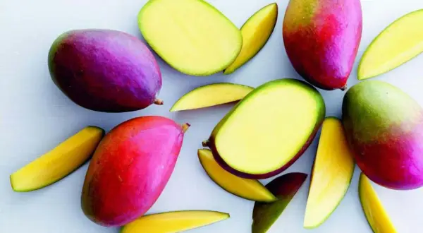 Flera färgglada mango frukt, hela och skurna i bitar, ligger utspridda på en ljus bakgrund.