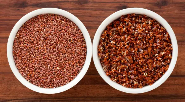 Två skålar med quinoa, en med råa frön och en med kokt. Quinoa är en utmärkt källa till komplexa kolhydrater.
