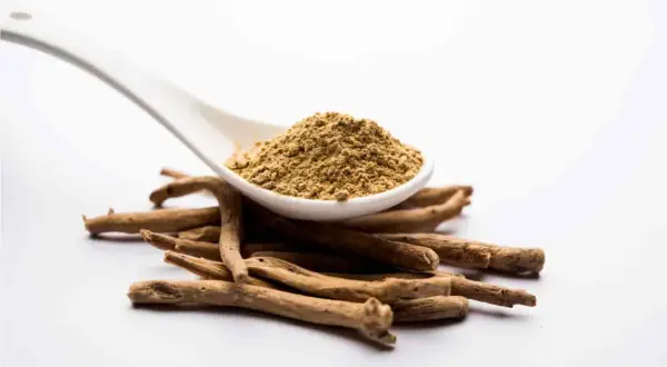 En sked med pulveriserat ashwagandha ligger ovanpå en hög med rötter. Vissa studerar ashwagandha för dess potentiella fördelar, men det är viktigt att vara medveten om möjliga ginseng biverkningar.