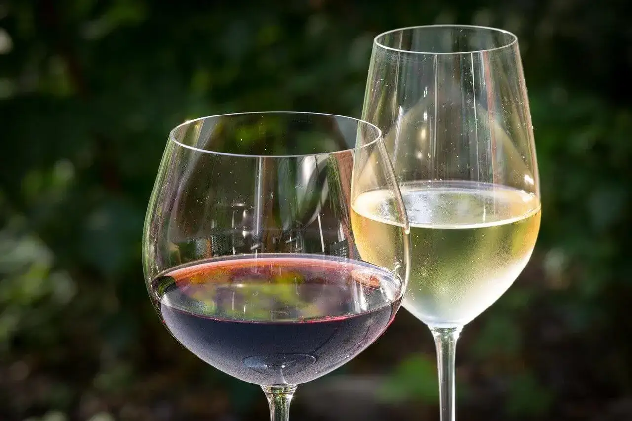 Två glas vin, ett rött och ett vitt, står utomhus. Tänker du på kalorier vitt vin per dl?