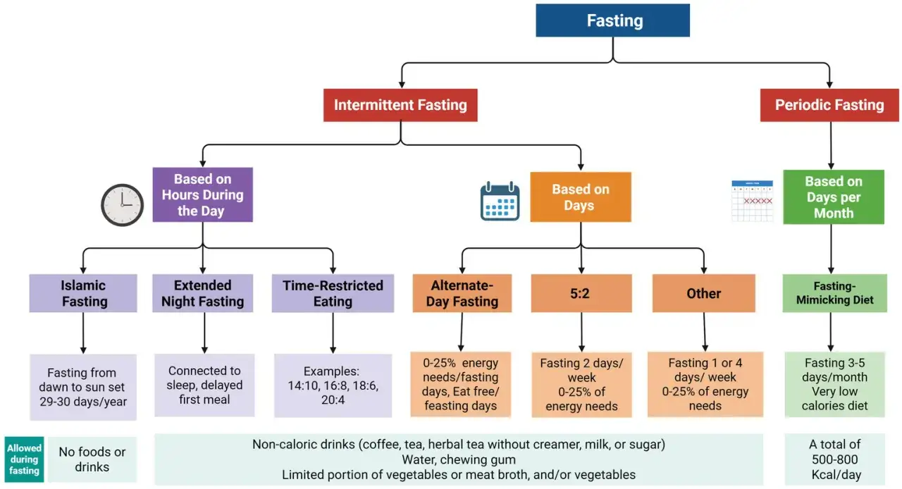 Diagrammet visar olika typer av fasta, som intermittent fasta och periodisk fasta. Vissa metoder kan minska fasta inflammation.