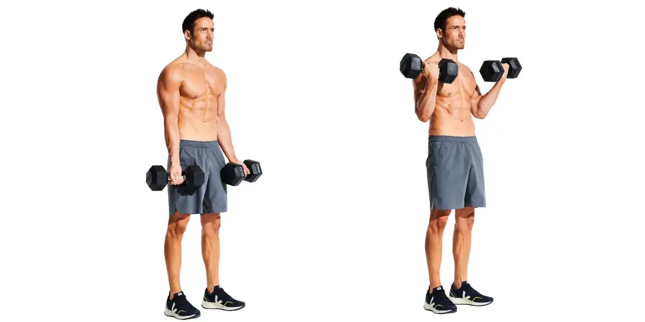 Man utf&ouml;r bicepscurl med hantlar. Bilden visar &ouml;vningen i tv&aring; steg: startposition och utf&ouml;rande.