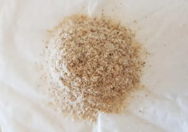 En hög med psyllium husk kapslar, ett naturligt kostfiber som kan hjälpa till med matsmältningen.